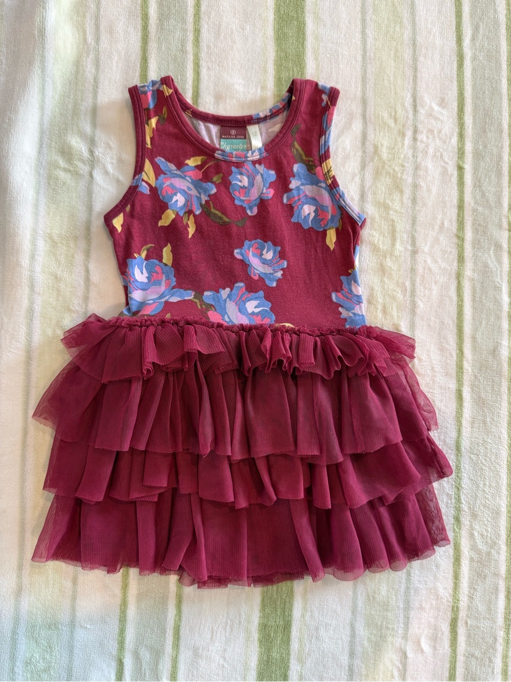 Matilda Jane Burgundy and Blue Floral Tulle Dress